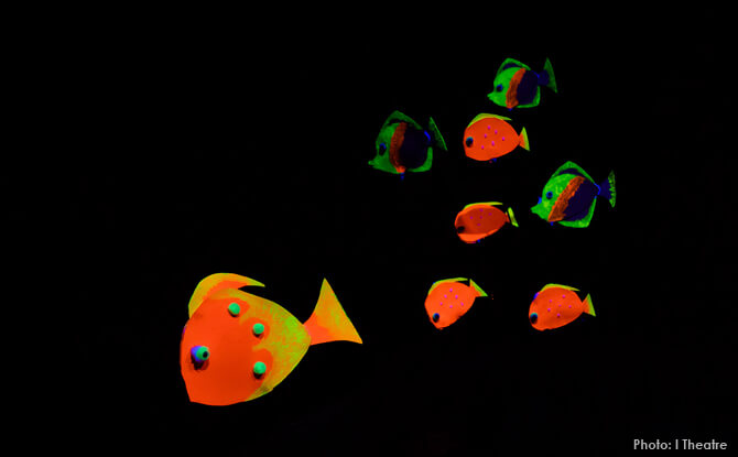 Luminous Fish