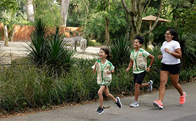 Five Great Reasons to Sign up For Mandai Wildlife Run - Race Categories for all including a 3.5km Ranger Buddies Family Dash