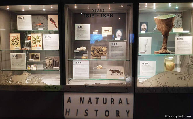 Interesting Finds at 200: A Natural History