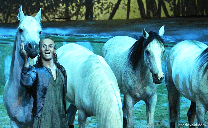 Cavalia Horses