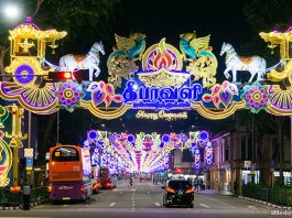 03-Deepavali-Little-India-Light-Up-2019