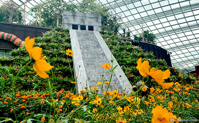 Free Admission for Kids to Flower Dome, 27 August to 11 September 2022