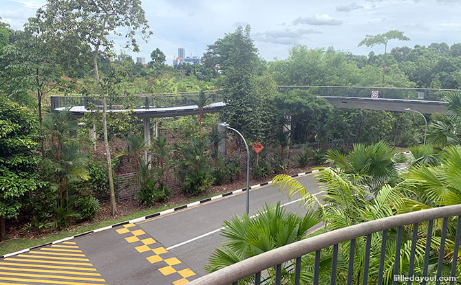 HPL Canopy Link at Singapore Botanic Gardens