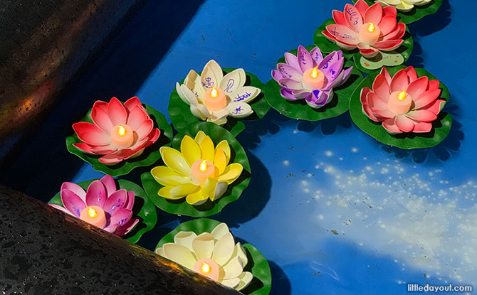 Water Lanterns at Jurong Lake Gardens