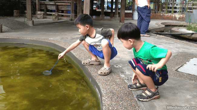 Longkang Fishing at Qian Hu Fish Farm