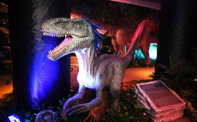 Dinosaur Rides at the Mega Carnival