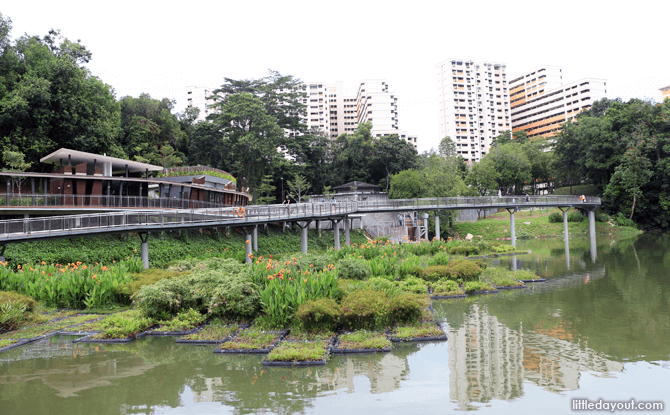 Pang Sua Pond's floating wetlands and 3G Wellness Centre