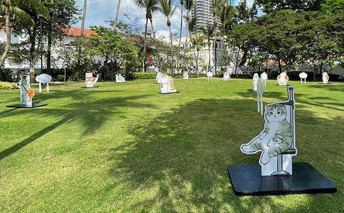 Paw-verbs on the Lawn: Cat Illustrations Pop-up At The Malay Heritage Centre 3 Paw-verbs on the Lawn Programmes at Malay Heritage Centre