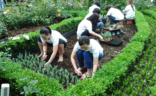 Planting