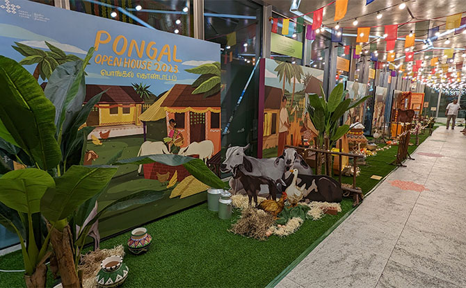 Pongal 2023 In Singapore: Celebrating The Harvest Festival 1 Pongal 2023 in Singapore: Events & Activities Indian Heritage Centre Pongal Open House 2023