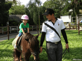 03-PonyRide