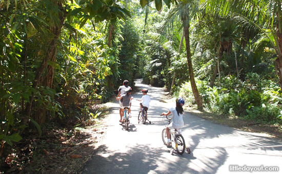 Pulau Ubin Cycling