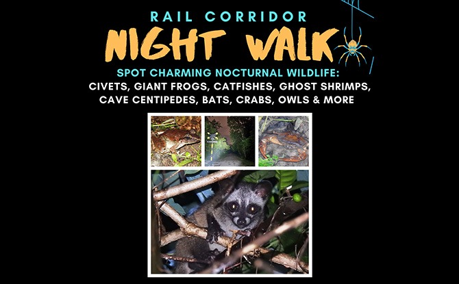 Little Night Outing: Nature Night Walks at Rail Corridor