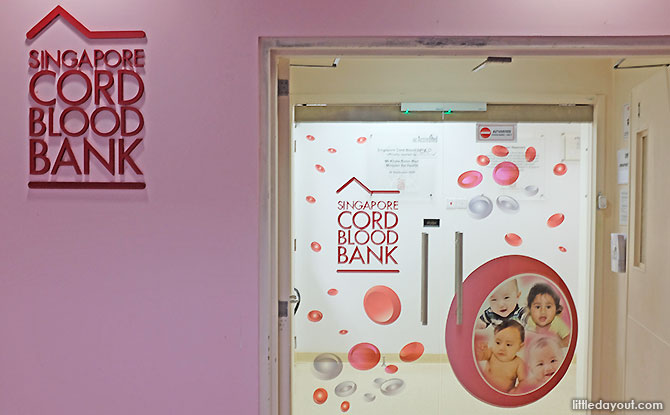 SCBB is Singapore’s first and only public cord blood bank.