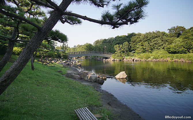 Natural beauty of Shinagawa Kumin Park