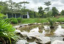 Kranji Coastal Nature Park: Sungei Buloh Wetland Reserve's Extension