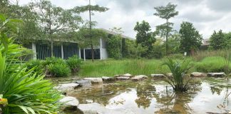 Kranji Coastal Nature Park: Sungei Buloh Wetland Reserve's Extension