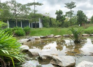 Kranji Coastal Nature Park: Sungei Buloh Wetland Reserve’s Extension Kranji Coastal Nature Park: Sungei Buloh Wetland Reserve's Extension