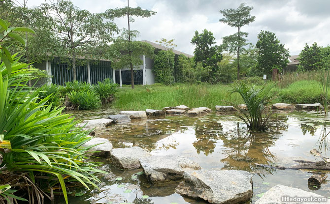 Kranji Coastal Nature Park: Sungei Buloh Wetland Reserve's Extension Kranji Coastal Nature Park: Sungei Buloh Wetland Reserve's Extension