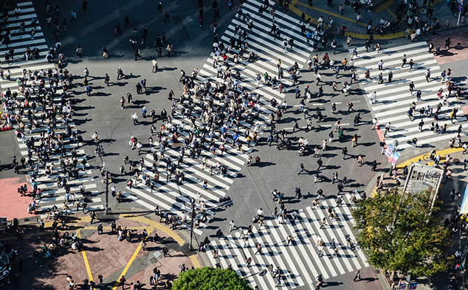 Live Camera of Shibuya Crossing