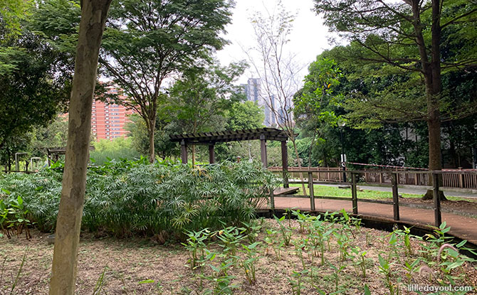 Alexandra Canal Water Play Area