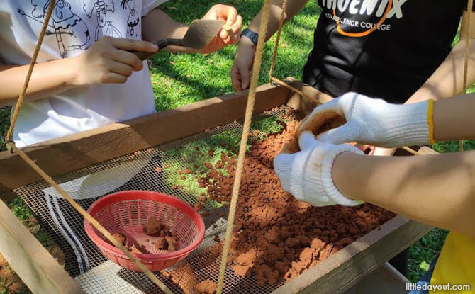 Artefacts are the Evidence from which Archaeologists Learn about Stories of our Past