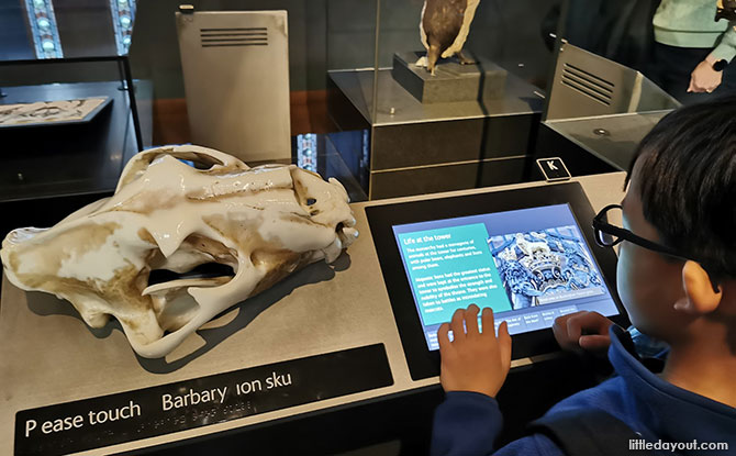 Must-Visit Best Museums for Kids in London Natural History Museum