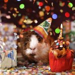 100 Funny Birthday Jokes That Take The Cake Even More Funny Jokes for Kids