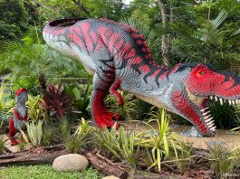 Brickosaurs World