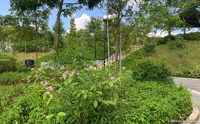 Greenery at Bukit Gombak