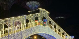 Christmas Wonderland 2021 At Gardens By The Bay: Festive Lights, Venetian Carousel & More