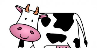 100+ Cow Jokes Sure To A-moose You And Your Friends