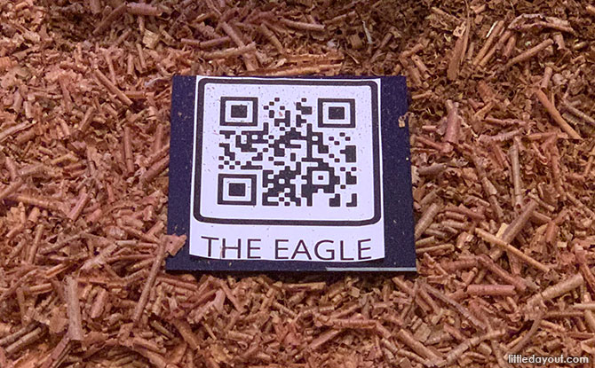 QR codes