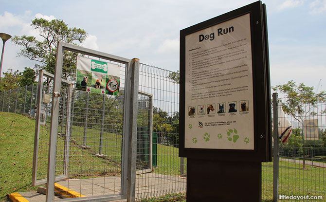 Clementi Woods Park Dog Run