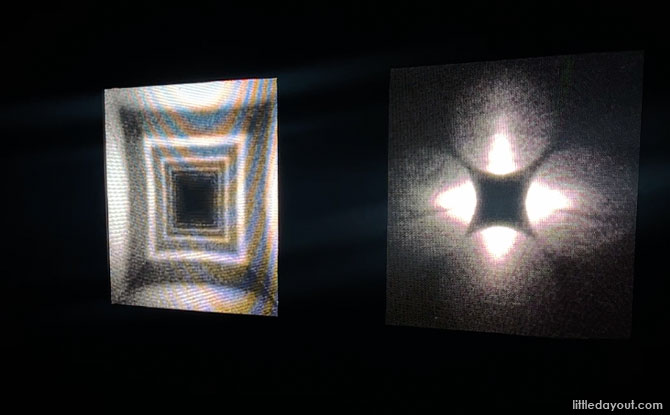 Light-in-Flight (2025)