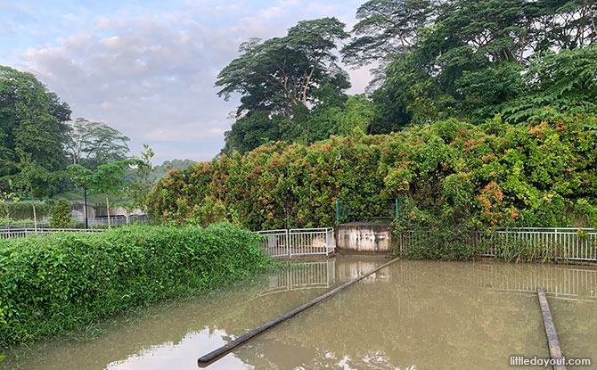 Holland Green Linear Park Wetland System