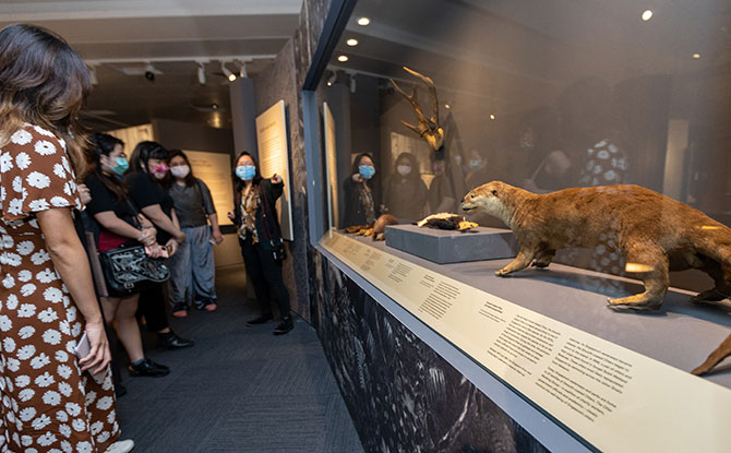 Human X Nature At National Library Singapore: Exploring Our Relationship With The Natural Environment