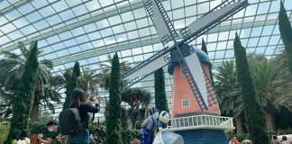 Hydrangea Holidays: Flower Dome Exudes Hues Of The Dutch Countryside