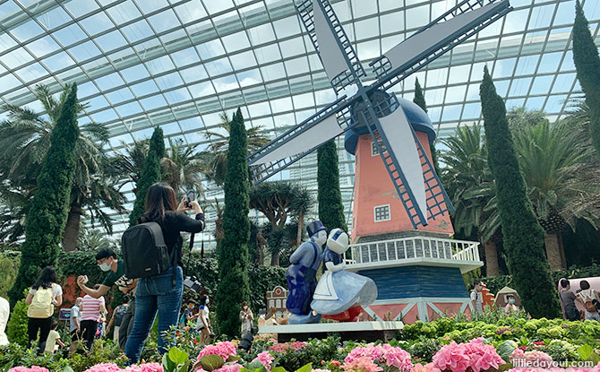 Hydrangea Holidays: Flower Dome Exudes Hues Of The Dutch Countryside