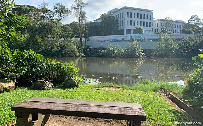 Kent Ridge Pond