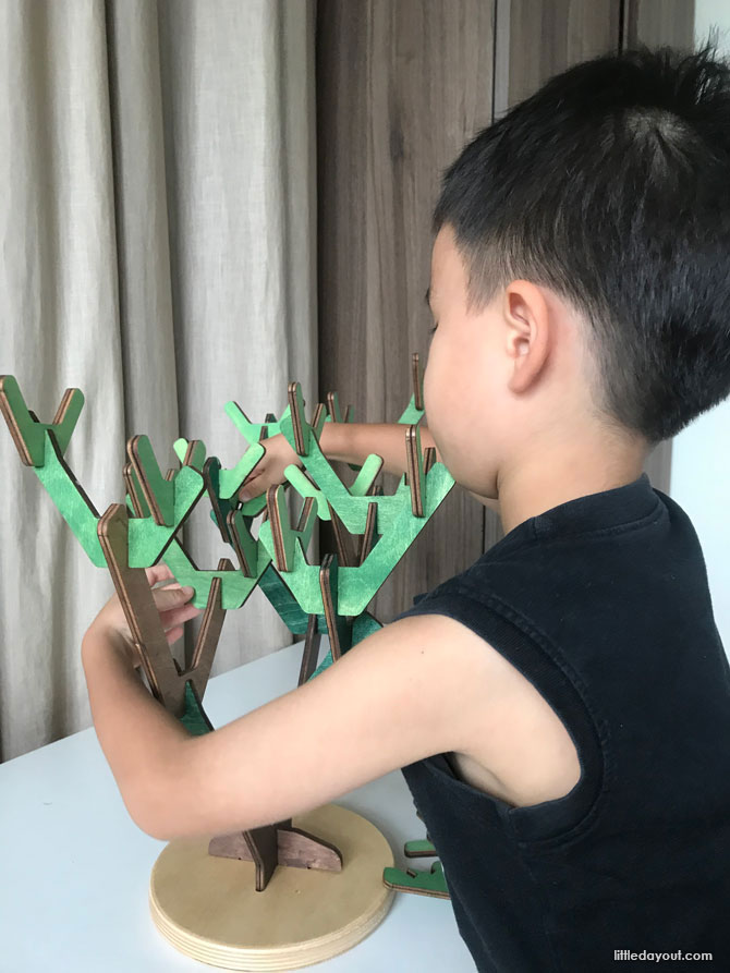 playing with Binary Tree Learning Beautiful Singapore