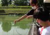 Let’s Go Tour’s Sustainable Farming Tour: Old prawn pond