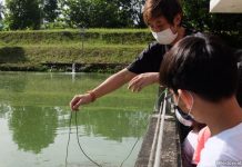 Let’s Go Tour’s Sustainable Farming Tour: Old prawn pond