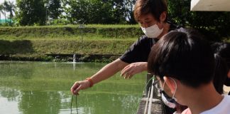 Let’s Go Tour’s Sustainable Farming Tour: Old prawn pond