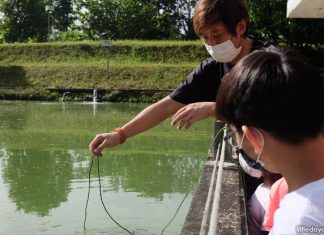 Let’s Go Tour’s Sustainable Farming Tour: Of Fish And Food Security At Qian Hu Fish Farm Let’s Go Tour’s Sustainable Farming Tour: Old prawn pond