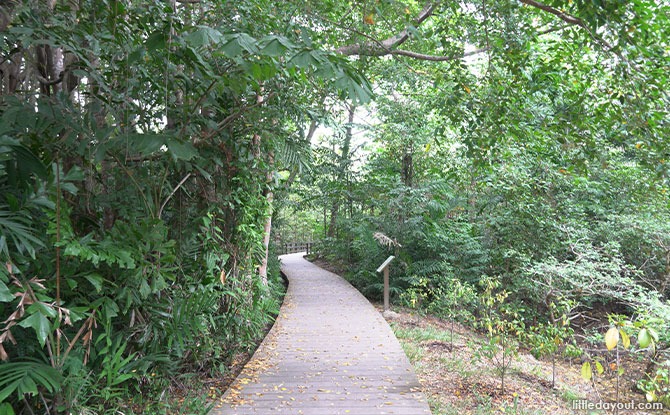 Pasir Ris Mangrove And Board Walk