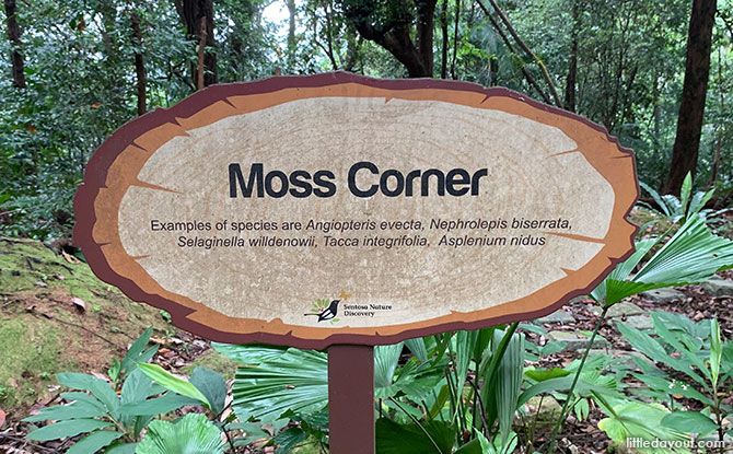 Moss Corner