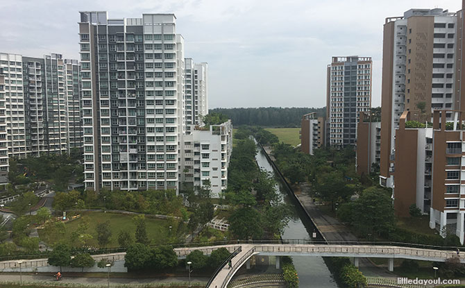 View from Oasis Terraces Rooftop Garden