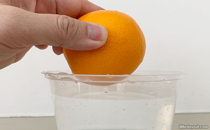 Orange Sink Or Float Science Experiment