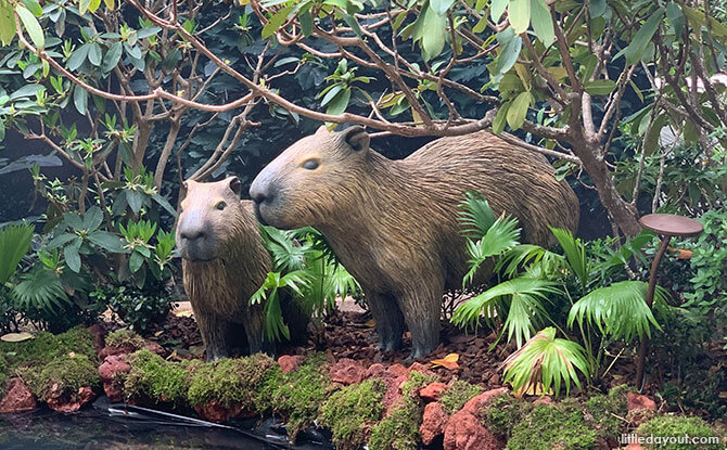 Capybaras replica